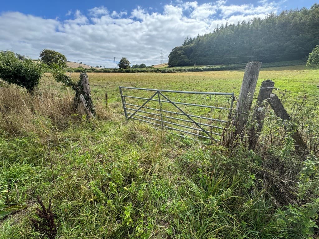 Over Three Acres Paddock Land With Frontage